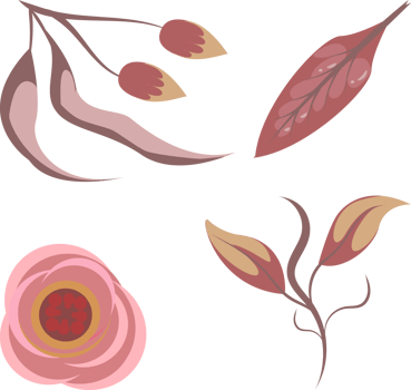 set of dried flower and leaf plant frame element ornament decoration png