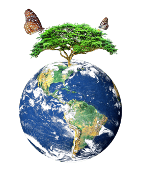 earth and nature biodiversity on a transparent background png