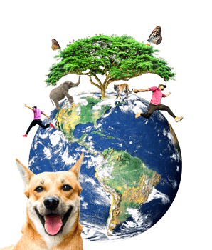 earth and nature biodiversity on a transparent background png