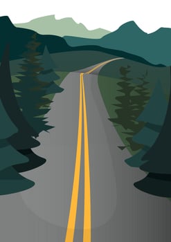 Gray road with two yellow stripes in the middle of a dark green forest vector