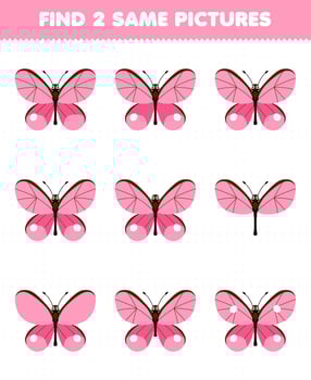 Education game for children find two same pictures of cute cartoon pink butterfly printable bug worksheet vector