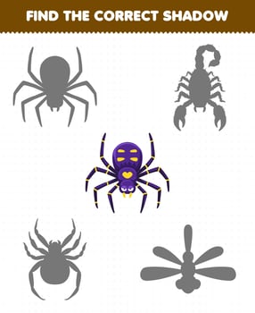 Education game for children find the correct shadow set of cute cartoon spider printable bug worksheet vector