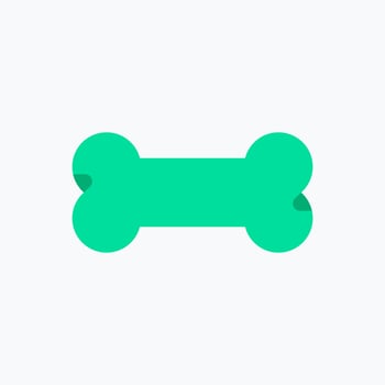 Bone Icon. Medical Icon. Perfect for website mobile app presentation and any other projects. Icon design flat style vector