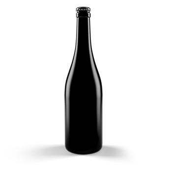 Black glass bottle modern realistic png