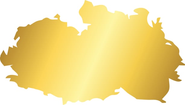 Gold Brush Stroke Design Element vector