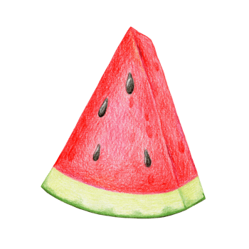 Bright ripe triangular piece of watermelon, hand-drawn with pencils png