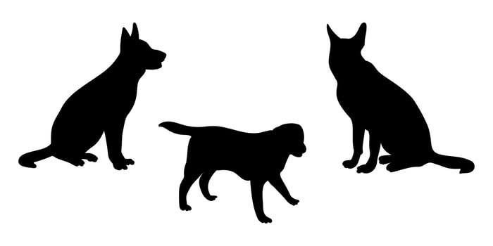 Silhouettes of dogs in different poses, set silhouettes of animals vector