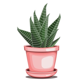 Zebra cactus houseplant in ceramic pot in flat technique vector