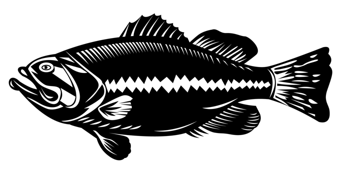 black sea bass side view png