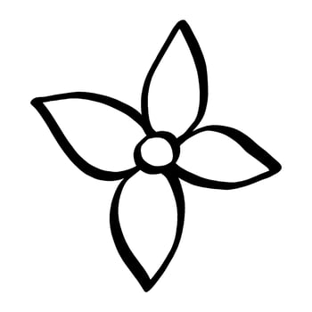 Black line doodle flower on white background. Vector illustration about nature.
