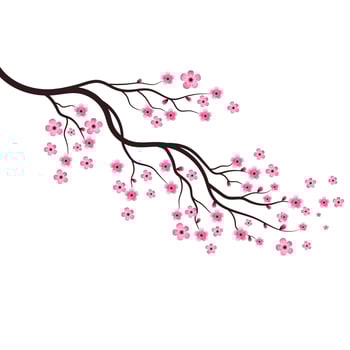 Sakura Beauty flower Vector icon