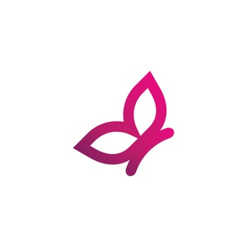 Beauty Butterfly icon design vector