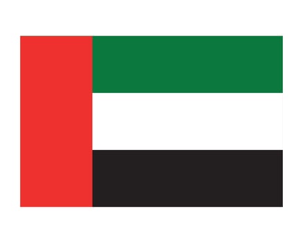 flag of United Arab Emirates icon vector