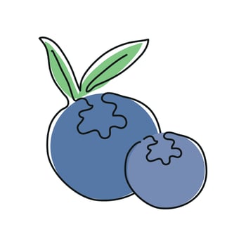 blueberry fruit line drawing vector