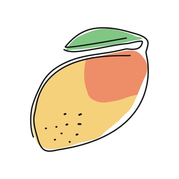 mango fruit line drawing vector