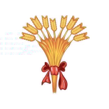 wheat spikes with bow vector