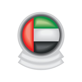 UAE flag button vector