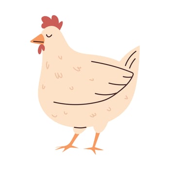 hen bird animal vector