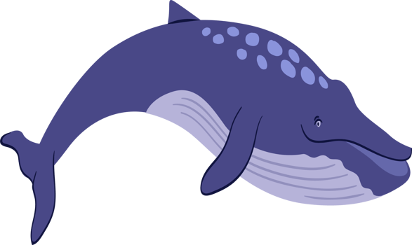 Whale sea animal. png