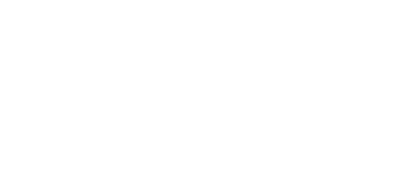 Lace elements for decoration. png