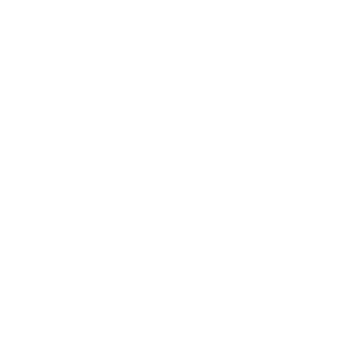 Lace elements for decoration. png
