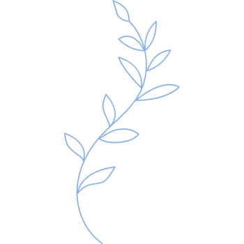 underwater plant. Seaweed png