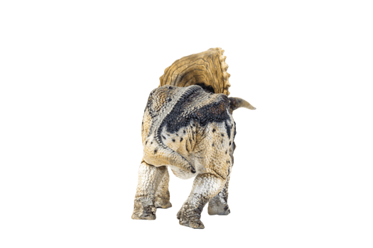 dinosaur , Triceratops on isolated background png