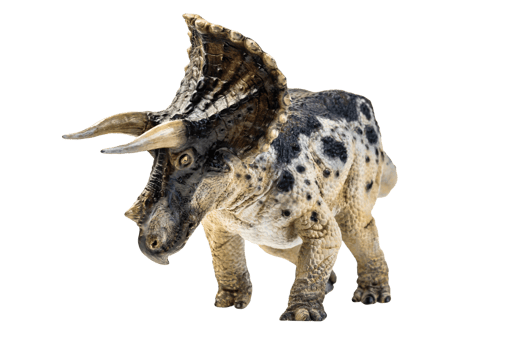 dinosaur , Triceratops on isolated background png