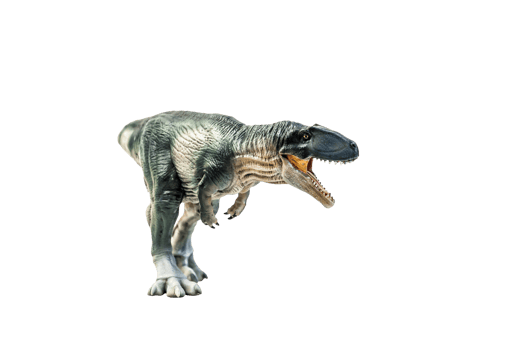 dinosaur , Giganotosaurus on isolated background png