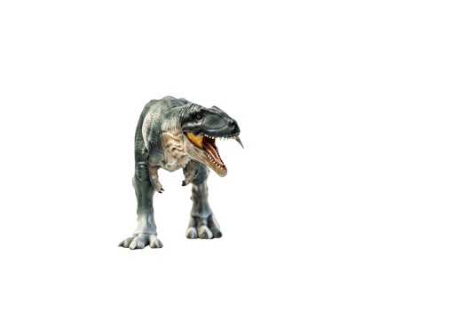 dinosaur , Giganotosaurus on isolated background png