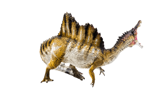dinosaur , spinosaurus isolated background png