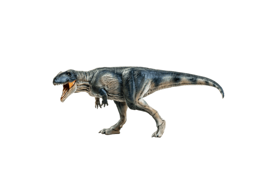 dinosaur , Giganotosaurus on isolated background png