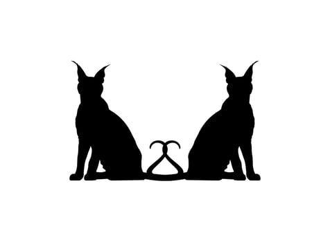 Pair of the Caracal Cat Silhouette for Art Illustration, Logo, Pictogram, Website or Graphic Design Element. Vector Illustration