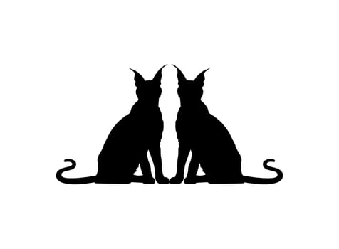 Pair of the Caracal Cat Silhouette for Art Illustration, Logo, Pictogram, Website or Graphic Design Element. Vector Illustration