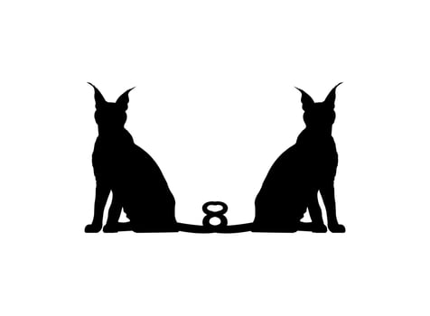 Pair of the Caracal Cat Silhouette for Art Illustration, Logo, Pictogram, Website or Graphic Design Element. Vector Illustration
