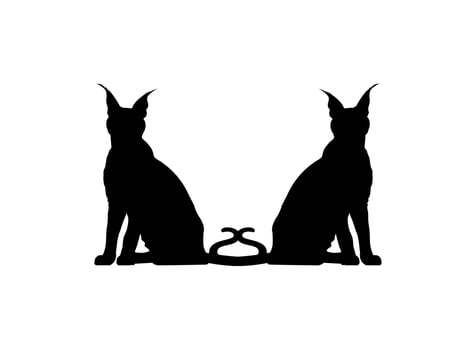 Pair of the Caracal Cat Silhouette for Art Illustration, Logo, Pictogram, Website or Graphic Design Element. Vector Illustration