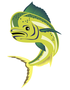 dorado dolphin fish mahi-mahi jumping png
