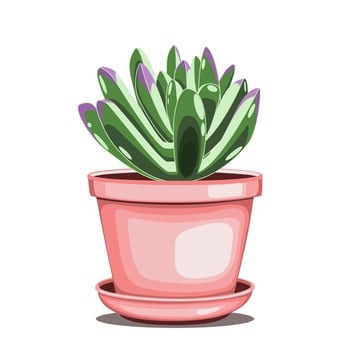 Snow White panda kalanchoe plant in ceramic pot in flat technique vector