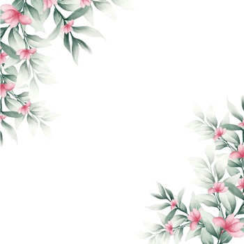 Pink watercolor flower frame png
