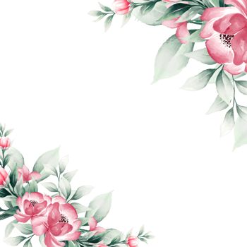 Pink watercolor flower frame png