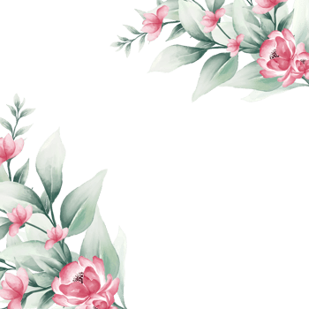 Pink watercolor flower frame png