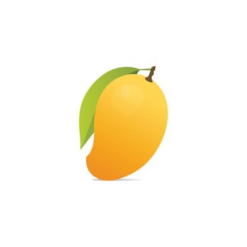 Yellow Mango fruit vector isolated
