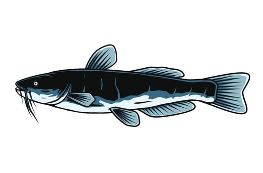 catfish vector design