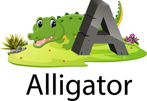 zoo animal alphabet A for alligator with the animal beside vector