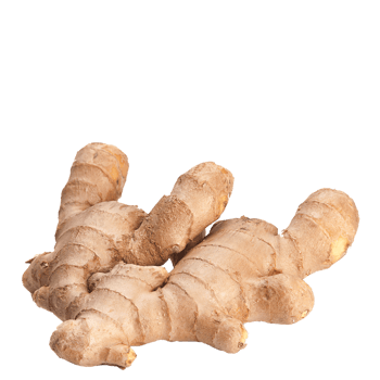 ginger on transparent background png