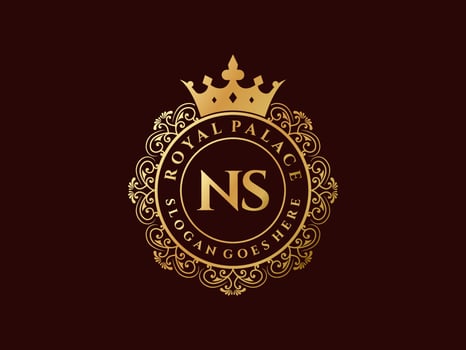 Letter NS Antique royal luxury victorian logo with ornamental frame. vector