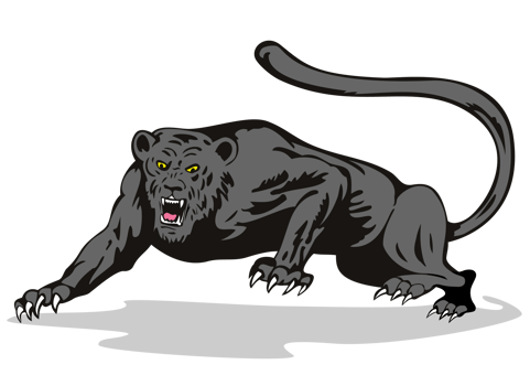 Jaguar Prowling Isolated Background png
