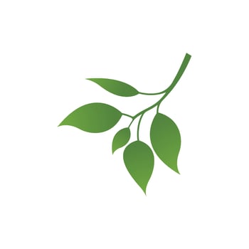 Green leaf logo vector