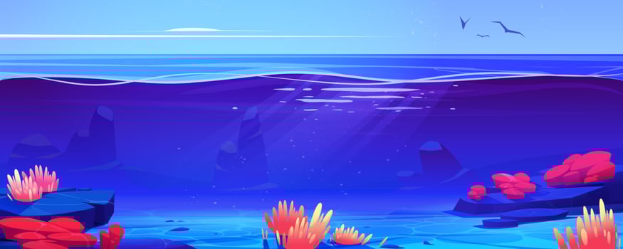 Coral reef ocean or sea underwater background vector