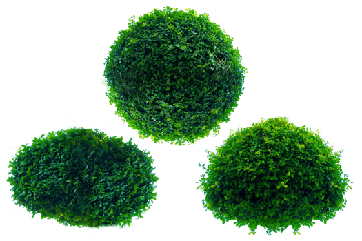 Tree isolated on PNG background, collection of trees can be illustrated.